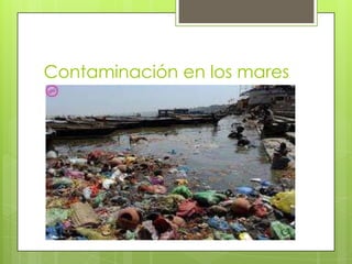 Contaminación en los mares
 