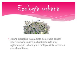 es una disciplina cuyo objeto de estudio son las
interrelaciones entre los habitantes de una
aglomeración urbana y sus múltiples interacciones
con el ambiente.
Ecología urbana
 