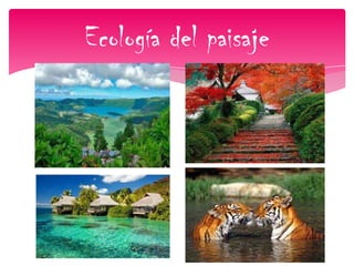 Ecología del paisaje
 