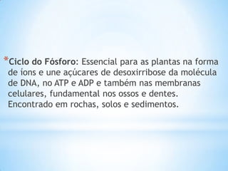 *Ciclo do Fósforo: Essencial para as plantas na forma
de íons e une açúcares de desoxirribose da molécula
de DNA, no ATP e ADP e também nas membranas
celulares, fundamental nos ossos e dentes.
Encontrado em rochas, solos e sedimentos.
 