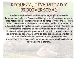 RIQUEZA, DIVERSIDAD Y
BIODIVERSIDAD
Biodiversidad o diversidad biológica es, según el Convenio
Internacional sobre la Diversidad Biológica, el término por el que se
hace referencia a la amplia variedad de seres vivos sobre la Tierra
y los patrones naturales que la conforman, resultado de miles de
millones de años de evolución según procesos naturales y también de
la influencia creciente de las actividades del ser humano. La
biodiversidad comprende igualmente la variedad de ecosistemas y
las diferencias genéticas dentro de cada especie que permiten la
combinación de múltiples formas de vida, y cuyas mutuas
interacciones con el resto del entorno fundamentan el sustento de
la vida sobre el planeta.
 