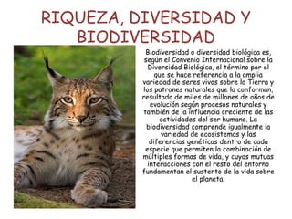 RIQUEZA, DIVERSIDAD Y
BIODIVERSIDAD
Biodiversidad o diversidad biológica es,
según el Convenio Internacional sobre la
Diversidad Biológica, el término por el
que se hace referencia a la amplia
variedad de seres vivos sobre la Tierra y
los patrones naturales que la conforman,
resultado de miles de millones de años de
evolución según procesos naturales y
también de la influencia creciente de las
actividades del ser humano. La
biodiversidad comprende igualmente la
variedad de ecosistemas y las
diferencias genéticas dentro de cada
especie que permiten la combinación de
múltiples formas de vida, y cuyas mutuas
interacciones con el resto del entorno
fundamentan el sustento de la vida sobre
el planeta.
 