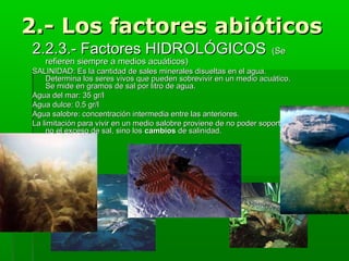 2.- Los factores abióticos
2.2.3.- Factores HIDROLÓGICOS

(Se

refieren siempre a medios acuáticos)

SALINIDAD: Es la cantidad de sales minerales disueltas en el agua.
Determina los seres vivos que pueden sobrevivir en un medio acuático.
Se mide en gramos de sal por litro de agua.
Agua del mar: 35 gr/l
Agua dulce: 0,5 gr/l
Agua salobre: concentración intermedia entre las anteriores.
La limitación para vivir en un medio salobre proviene de no poder soportar,
no el exceso de sal, sino los cambios de salinidad.

 