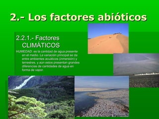 2.- Los factores abióticos
2.2.1.- Factores
CLIMÁTICOS
HUMEDAD: es la cantidad de agua presente
en el medio. La variación principal se da
entre ambientes acuáticos (inmersión) y
terrestres, y aún estos presentan grandes
diferencias de cantidades de agua en
forma de vapor.

 