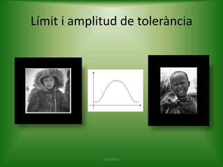 Límit i amplitud de tolerància

ECOLOGIA

 