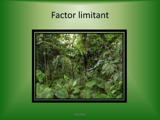 Factor limitant

ECOLOGIA

 