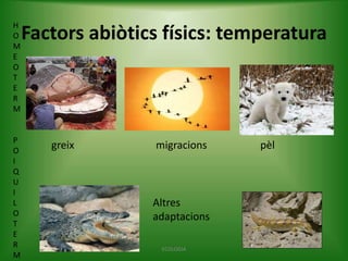 H
O
M
E
O
T
E
R
M

P
O
I
Q
U
I
L
O
T
E
R
M

Factors abiòtics físics: temperatura

greix

migracions

Altres
adaptacions
ECOLOGIA

pèl

 