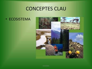 CONCEPTES CLAU
• ECOSISTEMA

ECOLOGIA

 