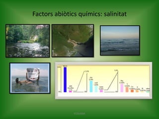 Factors abiòtics químics: salinitat

ECOLOGIA

 