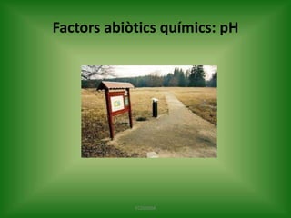 Factors abiòtics químics: pH

ECOLOGIA

 