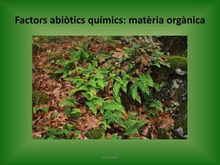 Factors abiòtics químics: matèria orgànica

ECOLOGIA

 
