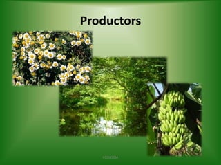Productors

ECOLOGIA

 