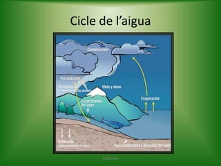 Cicle de l’aigua

ECOLOGIA

 