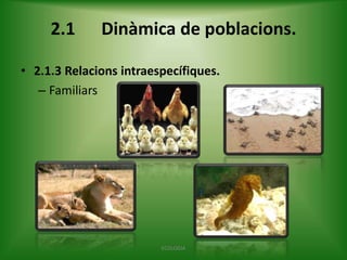 2.1

Dinàmica de poblacions.

• 2.1.3 Relacions intraespecífiques.
– Familiars

ECOLOGIA

 