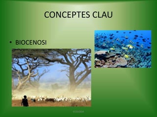CONCEPTES CLAU
• BIOCENOSI

ECOLOGIA

 