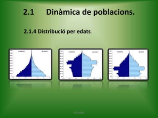 2.1

Dinàmica de poblacions.

2.1.4 Distribució per edats.

ECOLOGIA

 
