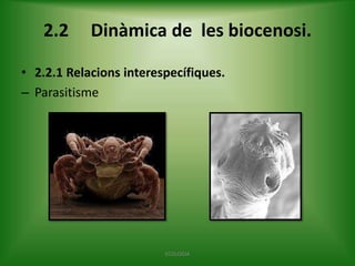 2.2

Dinàmica de les biocenosi.

• 2.2.1 Relacions interespecífiques.
– Parasitisme

ECOLOGIA

 