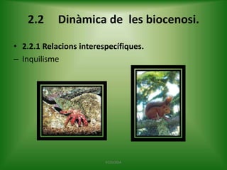 2.2

Dinàmica de les biocenosi.

• 2.2.1 Relacions interespecífiques.
– Inquilisme

ECOLOGIA

 