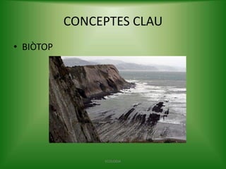 CONCEPTES CLAU
• BIÒTOP

ECOLOGIA

 