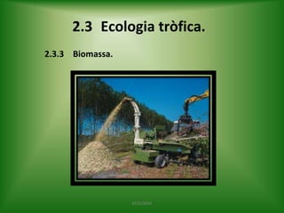 2.3 Ecologia tròfica.
2.3.3 Biomassa.

ECOLOGIA

 
