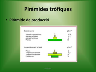 Piràmides tròfiques
• Piràmide de producció

ECOLOGIA

 