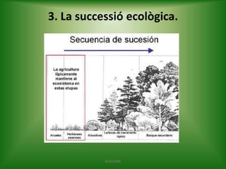 3. La successió ecològica.

ECOLOGIA

 
