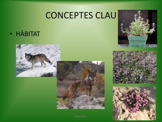 CONCEPTES CLAU
• HÀBITAT

ECOLOGIA

 