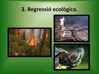 3. Regressió ecològica.

ECOLOGIA

 
