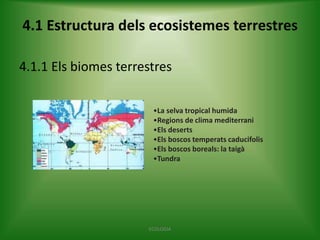 4.1 Estructura dels ecosistemes terrestres
4.1.1 Els biomes terrestres
•La selva tropical humida
•Regions de clima mediterrani
•Els deserts
•Els boscos temperats caducifolis
•Els boscos boreals: la taigà
•Tundra

ECOLOGIA

 