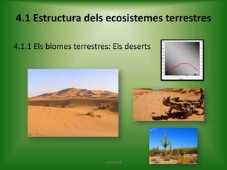 4.1 Estructura dels ecosistemes terrestres
4.1.1 Els biomes terrestres: Els deserts

ECOLOGIA

 