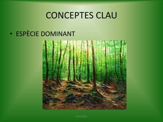 CONCEPTES CLAU
• ESPÈCIE DOMINANT

ECOLOGIA

 