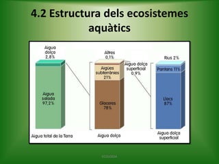 4.2 Estructura dels ecosistemes
aquàtics

ECOLOGIA

 