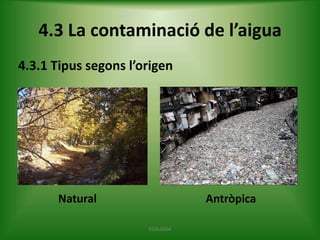 4.3 La contaminació de l’aigua
4.3.1 Tipus segons l’origen

Natural

Antròpica
ECOLOGIA

 