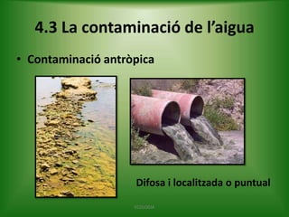 4.3 La contaminació de l’aigua
• Contaminació antròpica

Difosa i localitzada o puntual
ECOLOGIA

 
