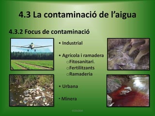 4.3 La contaminació de l’aigua
4.3.2 Focus de contaminació
• Industrial
• Agrícola i ramadera
oFitosanitari.
oFertilitzants
oRamaderia
• Urbana
• Minera
ECOLOGIA

 
