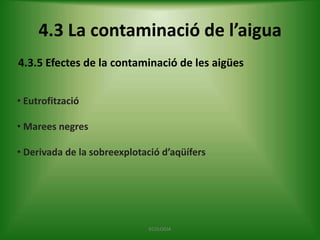 4.3 La contaminació de l’aigua
4.3.5 Efectes de la contaminació de les aigües
• Eutrofització
• Marees negres
• Derivada de la sobreexplotació d’aqüífers

ECOLOGIA

 