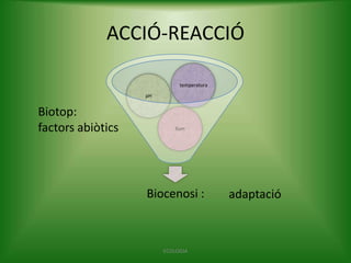 ACCIÓ-REACCIÓ
temperatura
pH

Biotop:
factors abiòtics

llum

Biocenosi :

ECOLOGIA

adaptació

 