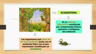 ECOSISTEMA 
Es un sistema 
interactivo constituido 
por componentes físicos, 
químicos y biológicos 
del ambiente 
Los organismos que viven en 
un área particular junto con el 
ambiente físico con el que 
interactúan constituyen un 
ecosistema 
 
