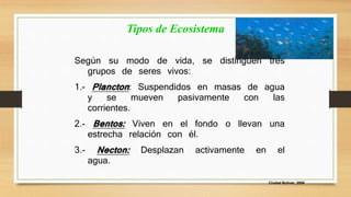 Ciudad Bolívar, 2009 
Tipos de Ecosistema 
Según su modo de vida, se distinguen tres 
grupos de seres vivos: 
1.- Plancton : Suspendidos en masas de agua 
y se mueven pasivamente con las 
corrientes. 
2.- Bentos: Viven en el fondo o llevan una 
estrecha relación con él. 
3.- Necton: Desplazan activamente en el 
agua. 
 