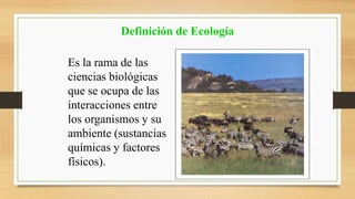 Definición de Ecología 
Es la rama de las 
ciencias biológicas 
que se ocupa de las 
interacciones entre 
los organismos y su 
ambiente (sustancias 
químicas y factores 
físicos). 
 