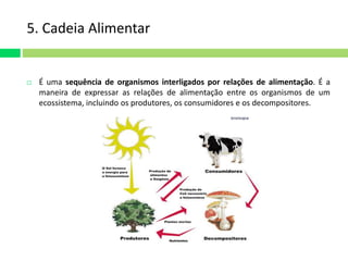 5. Cadeia Alimentar 
 É uma sequência de organismos interligados por relações de alimentação. É a 
maneira de expressar as relações de alimentação entre os organismos de um 
ecossistema, incluindo os produtores, os consumidores e os decompositores. 
 