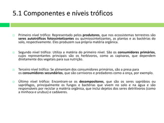 5.1 Componentes e níveis tróficos 
 Primeiro nível trófico: Representado pelos produtores, que nos ecossistemas terrestres são 
seres autotróficos fotossintetizantes ou quimiossintetizantes, as plantas e as bactérias do 
solo, respectivamente. Eles produzem sua própria matéria orgânica. 
 Segundo nível trófico: Utiliza a matéria do primeiro nível. São os consumidores primários, 
cujos representantes principais são os herbívoros, como as capivaras, que dependem 
diretamente dos vegetais para sua nutrição. 
 Terceiro nível trófico: Se alimentam dos consumidores primários, são a presa para 
os consumidores secundários, que são carnívoros e predadores como a onça, por exemplo. 
 Último nível trófico: Encontram-se os decompositores, que são os seres sapróbios ou 
saprófagos, principalmente os fungos e bactérias que vivem no solo e na água e são 
responsáveis por reciclar a matéria orgânica, que inclui dejetos dos seres detritívoros (como 
a minhoca e urubus) e cadáveres. 
 