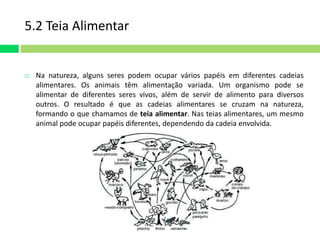 5.2 Teia Alimentar 
 Na natureza, alguns seres podem ocupar vários papéis em diferentes cadeias 
alimentares. Os animais têm alimentação variada. Um organismo pode se 
alimentar de diferentes seres vivos, além de servir de alimento para diversos 
outros. O resultado é que as cadeias alimentares se cruzam na natureza, 
formando o que chamamos de teia alimentar. Nas teias alimentares, um mesmo 
animal pode ocupar papéis diferentes, dependendo da cadeia envolvida. 
 