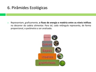 6. Pirâmides Ecológicas 
 Representam, graficamente, o fluxo de energia e matéria entre os níveis tróficos 
no decorrer da cadeia alimentar. Para tal, cada retângulo representa, de forma 
proporcional, o parâmetro a ser analisado. 
 