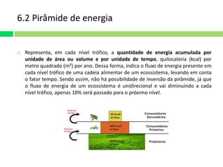 6.2 Pirâmide de energia 
 Representa, em cada nível trófico, a quantidade de energia acumulada por 
unidade de área ou volume e por unidade de tempo, quilocaloria (kcal) por 
metro quadrado (m²) por ano. Dessa forma, indica o fluxo de energia presente em 
cada nível trófico de uma cadeia alimentar de um ecossistema, levando em conta 
o fator tempo. Sendo assim, não há possibilidade de inversão da pirâmide, já que 
o fluxo de energia de um ecossistema é unidirecional e vai diminuindo a cada 
nível trófico, apenas 10% será passado para o próximo nível. 
 