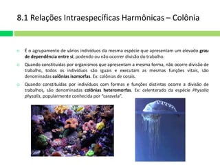 8.1 Relações Intraespecíficas Harmônicas – Colônia 
 É o agrupamento de vários indivíduos da mesma espécie que apresentam um elevado grau 
de dependência entre si, podendo ou não ocorrer divisão do trabalho. 
 Quando constituídas por organismos que apresentam a mesma forma, não ocorre divisão de 
trabalho, todos os indivíduos são iguais e executam as mesmas funções vitais, são 
denominadas colônias isomorfas. Ex: colônias de corais. 
 Quando constituídas por indivíduos com formas e funções distintas ocorre a divisão de 
trabalhos, são denominadas colônias heteromorfas. Ex: celenterado da espécie Physalia 
physalis, popularmente conhecida por “caravela”. 
 