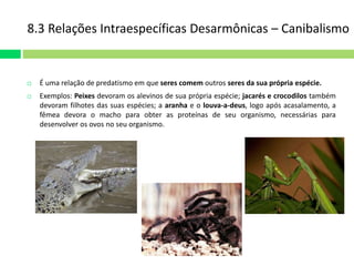 8.3 Relações Intraespecíficas Desarmônicas – Canibalismo 
 É uma relação de predatismo em que seres comem outros seres da sua própria espécie. 
 Exemplos: Peixes devoram os alevinos de sua própria espécie; jacarés e crocodilos também 
devoram filhotes das suas espécies; a aranha e o louva-a-deus, logo após acasalamento, a 
fêmea devora o macho para obter as proteínas de seu organismo, necessárias para 
desenvolver os ovos no seu organismo. 
 