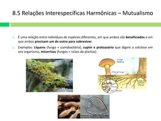 8.5 Relações Interespecíficas Harmônicas – Mutualismo 
 É uma relação entre indivíduos de espécies diferentes, em que ambos são beneficiados e em 
que ambos precisam um do outro para sobreviver. 
 Exemplos: Líquens (fungo + cianobactéria), cupim e protozoário que digere a celulose em 
seu organismo, micorrizas (fungos + raízes de plantas). 
 