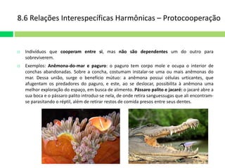 8.6 Relações Interespecíficas Harmônicas – Protocooperação 
 Indivíduos que cooperam entre si, mas não são dependentes um do outro para 
sobreviverem. 
 Exemplos: Anêmona-do-mar e paguro: o paguro tem corpo mole e ocupa o interior de 
conchas abandonadas. Sobre a concha, costumam instalar-se uma ou mais anêmonas do 
mar. Dessa união, surge o benefício mútuo: a anêmona possui células urticantes, que 
afugentam os predadores do paguro, e este, ao se deslocar, possibilita à anêmona uma 
melhor exploração do espaço, em busca de alimento. Pássaro palito e jacaré: o jacaré abre a 
sua boca e o pássaro palito introduz-se nela, de onde retira sanguessugas que ali encontram-se 
parasitando o réptil, além de retirar restos de comida presos entre seus dentes. 
 