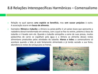 8.8 Relações Interespecíficas Harmônicas – Comensalismo 
 Relação na qual apenas uma espécie se beneficia, mas sem causar prejuízos à outra. 
A associação ocorre em busca de alimento. 
 Exemplos: Rêmora e tubarão: a rêmora ou peixe-piolho é um peixe ósseo que apresenta a 
nadadeira dorsal transformada em ventosa, com a qual se fixa no ventre, próximo à boca do 
tubarão e é levada com ele. Quando o tubarão estraçalha a carne de suas presas, muitos 
pedacinhos de carne se espalham pela água e a rêmora se alimenta desses restos 
alimentares produzidos pelas atividades do tubarão. Hienas e leões: o comensalismo só 
acontece quando o leão já está fartamente alimentado e já tendo saciado a sua fome, 
abandona os restos da carcaça para as hienas. 
 
